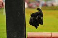 2013-05-19 um 14-21-08